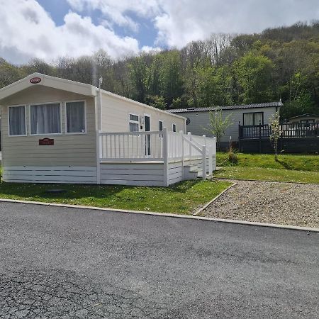 The Tiddler - Plot 101, Woodlands Lodge Retreat, New Quay, West Wales Llanina Екстер'єр фото